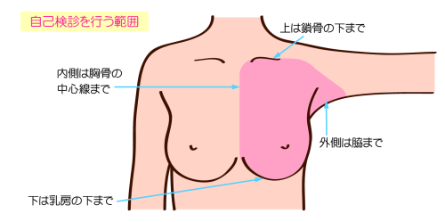 自己検診の範囲